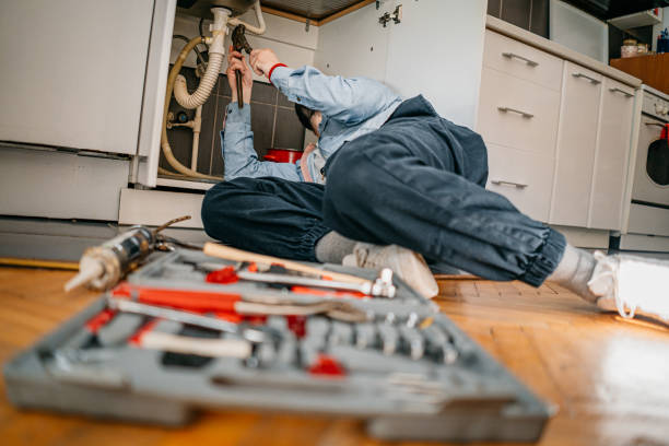 Best Plumbing Inspection Services  in Millvale, PA